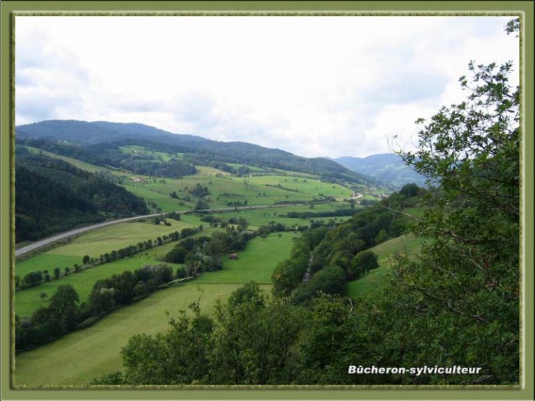 Photos De Paysages Rochers Bucheron Sylviculteur